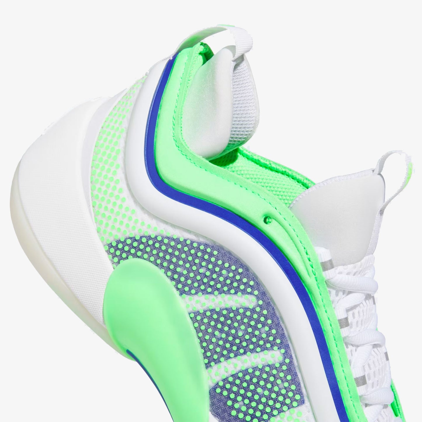 D.O.N Issue 6 "Metamorphosis"