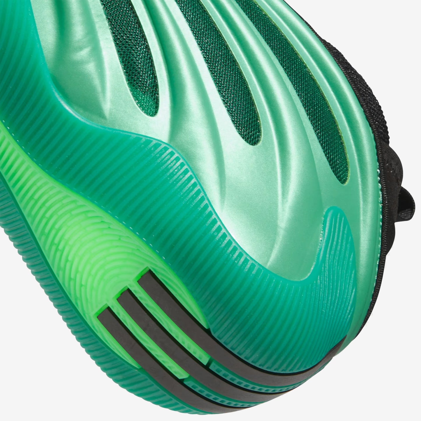 Harden Vol.9 "Metamorphosis"