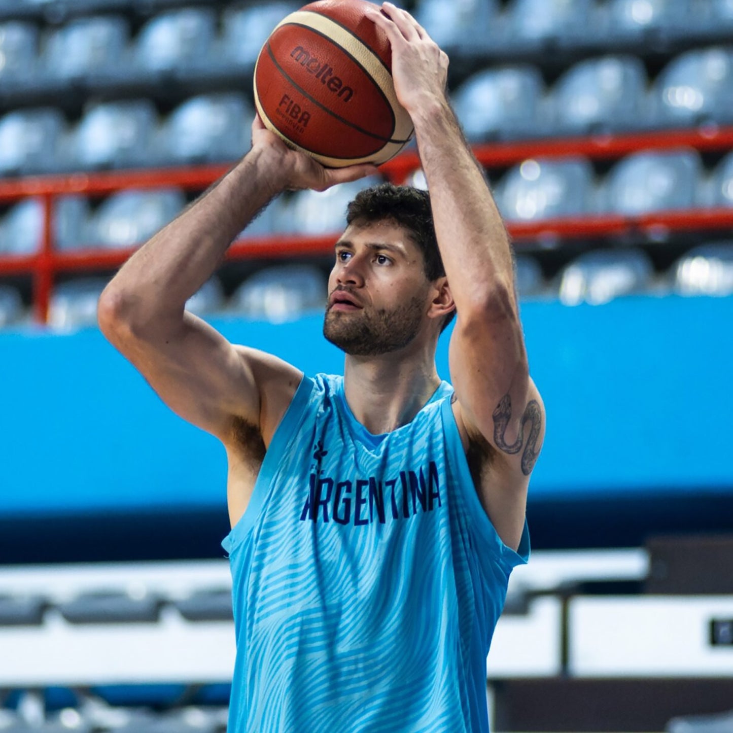Camiseta Entrenamiento Selección Argentina