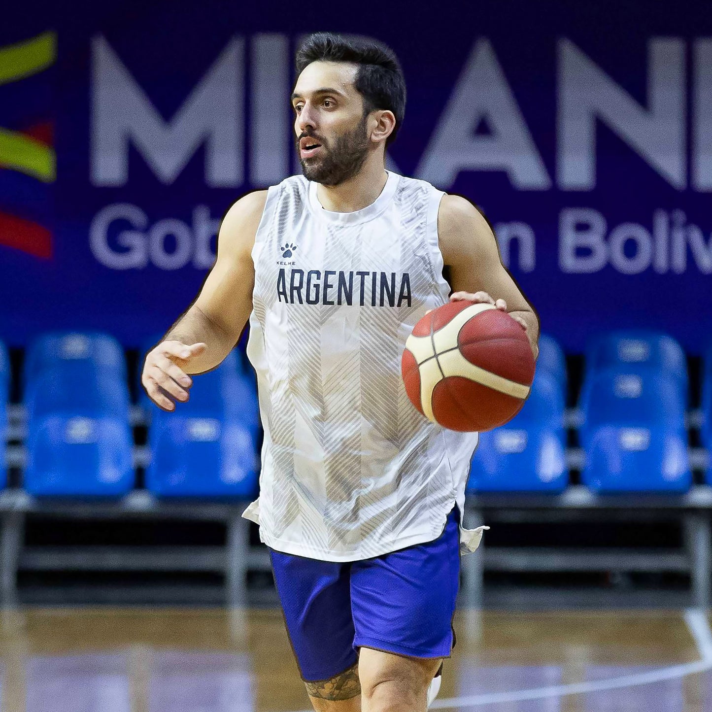 Camiseta Entrenamiento Selección Argentina