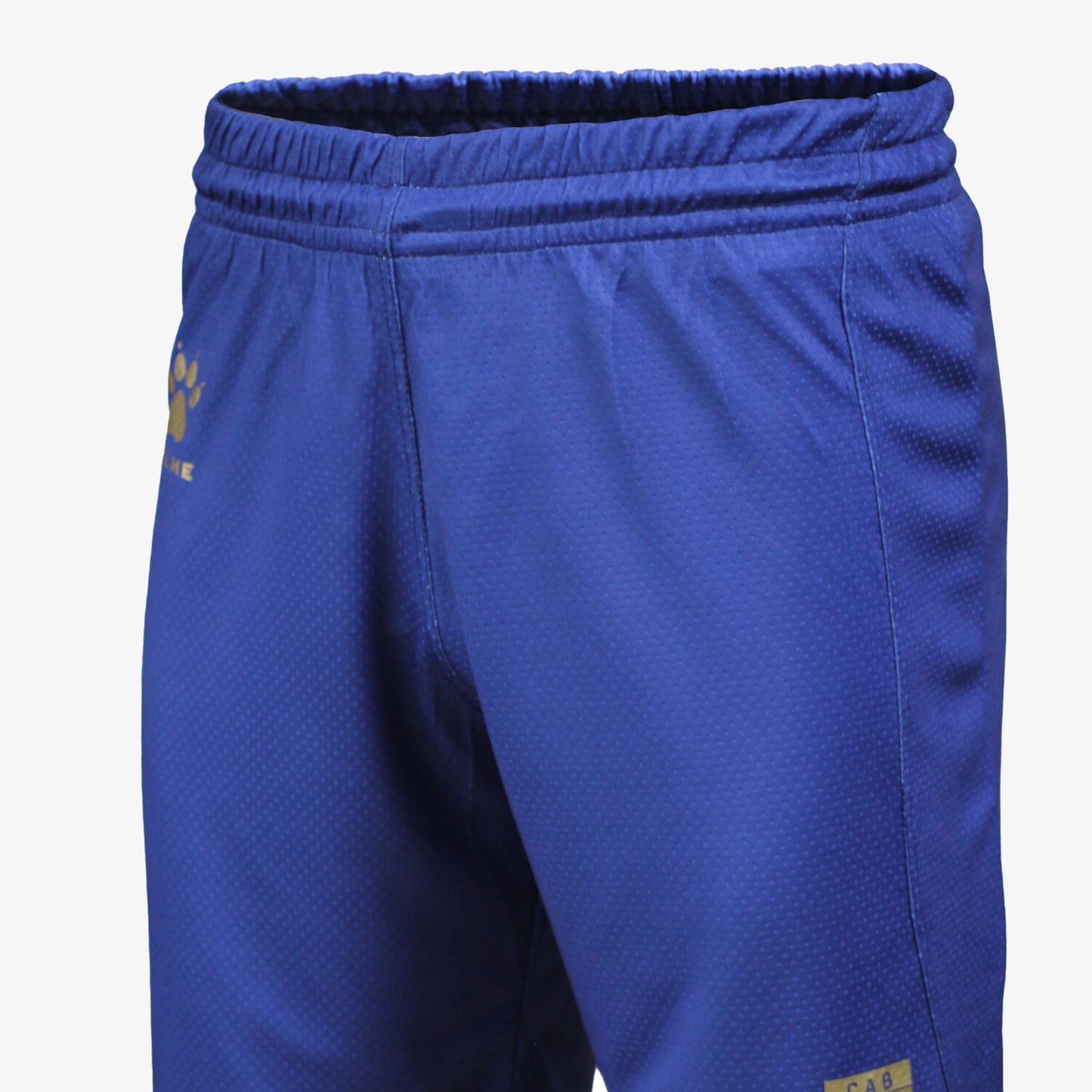 Short Oficial Selección Argentina Alternativo