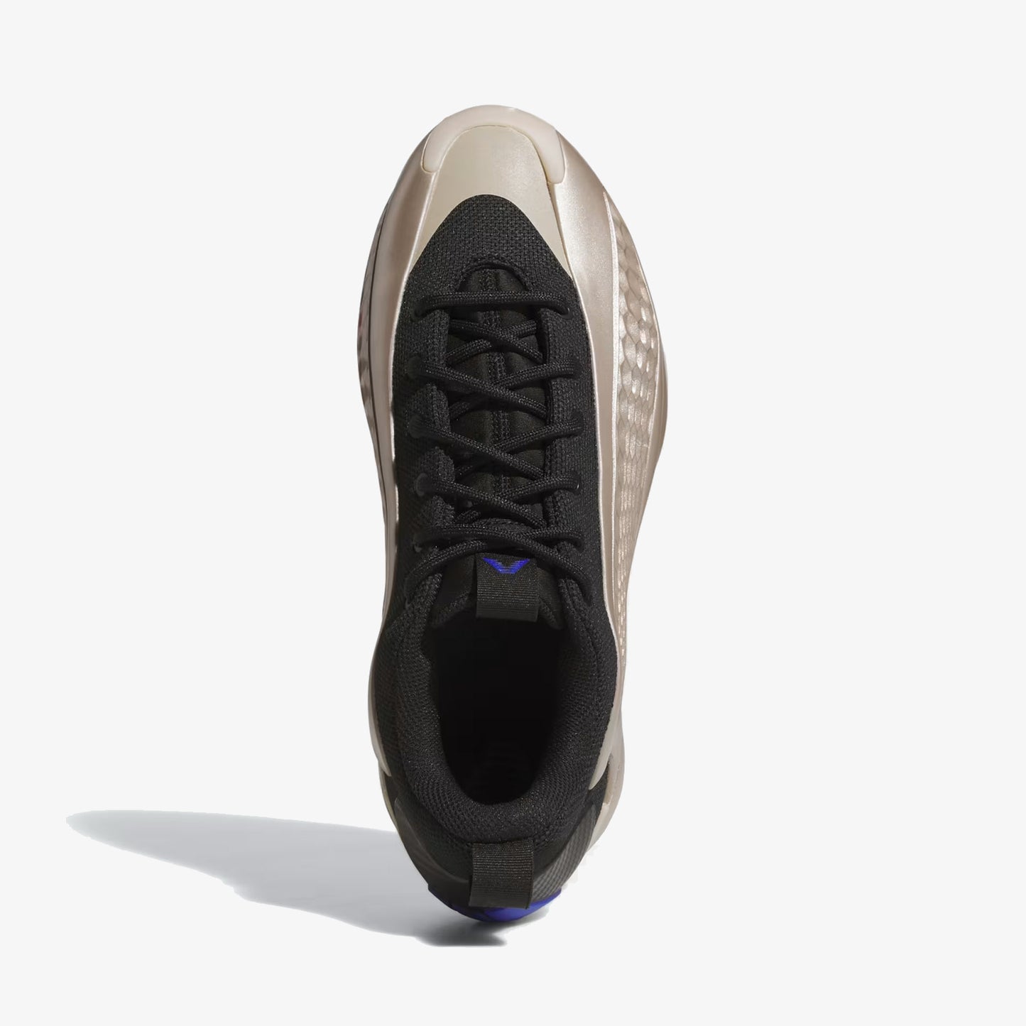 Anthony Edwards 1 Low "Champagne"