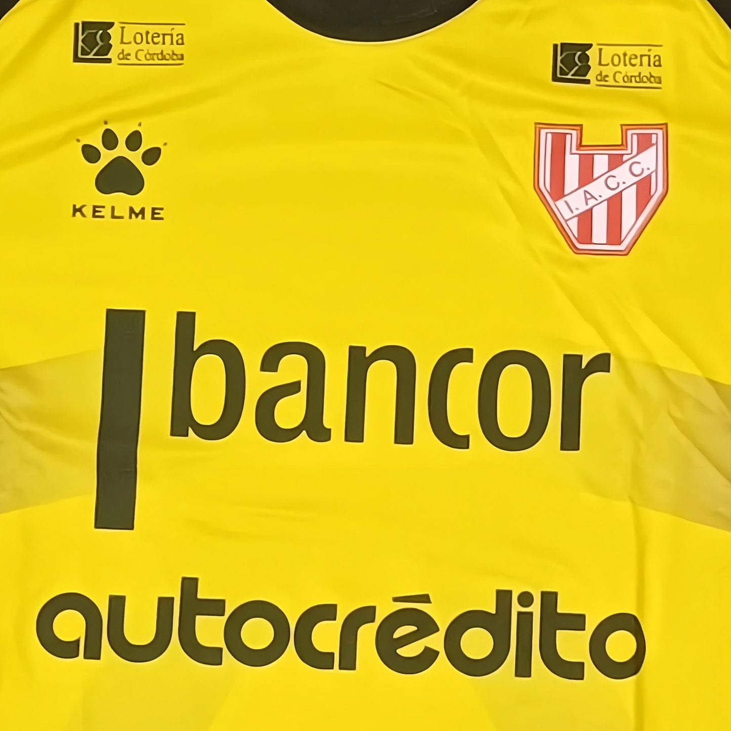 Camiseta Instituto ACC Oficial