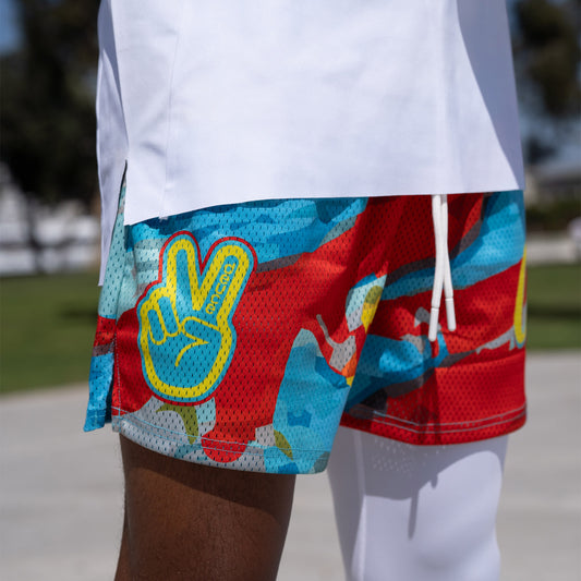 Mesh Shorts "Venice Beach"