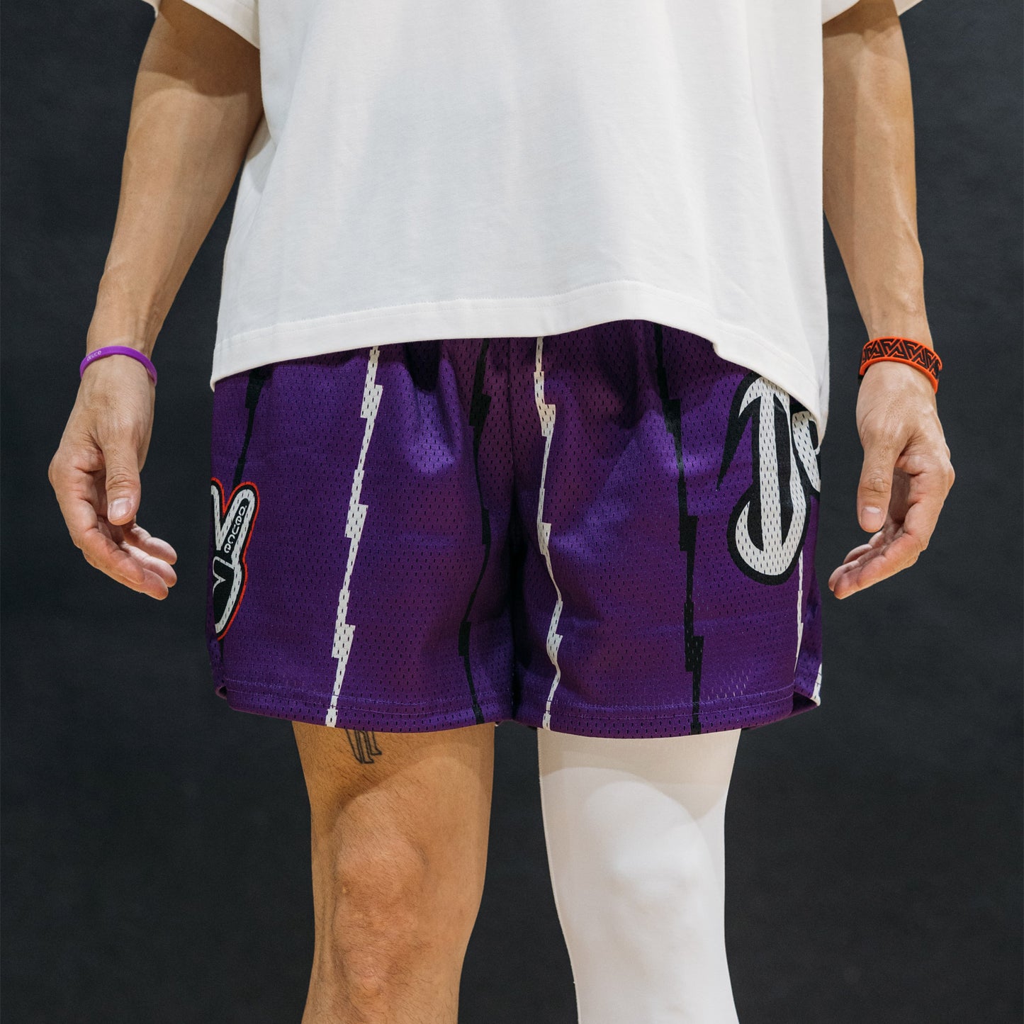 Mesh Shorts "Raptors"