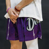 Mesh Shorts "Raptors"
