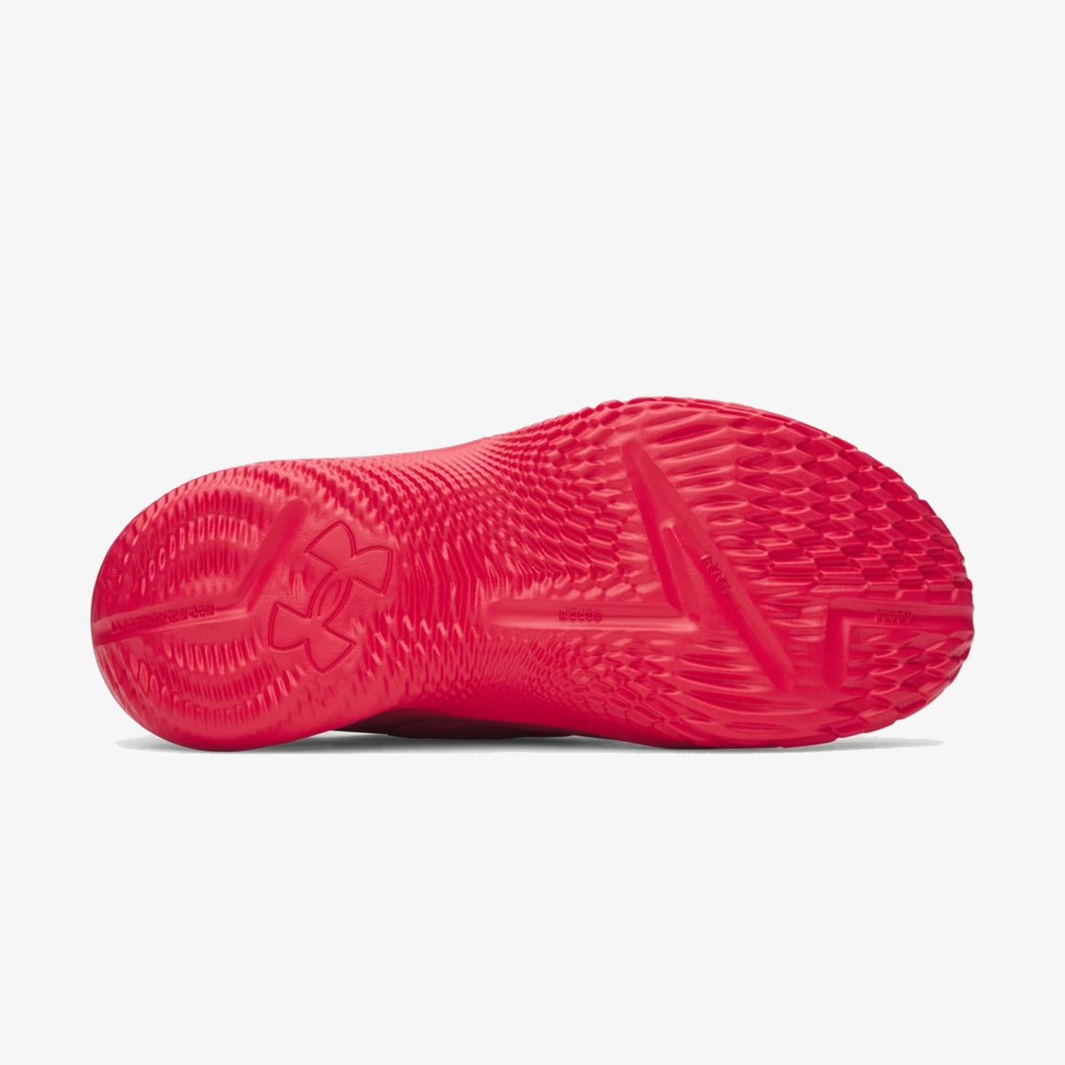 Curry Fox 2 "Swipa Claus"
