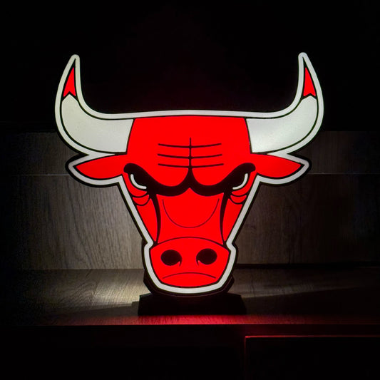 Lightbox Chicago Bulls