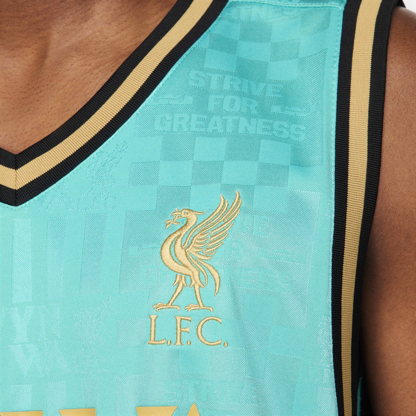 LeBron X Liverpool F.C DNA