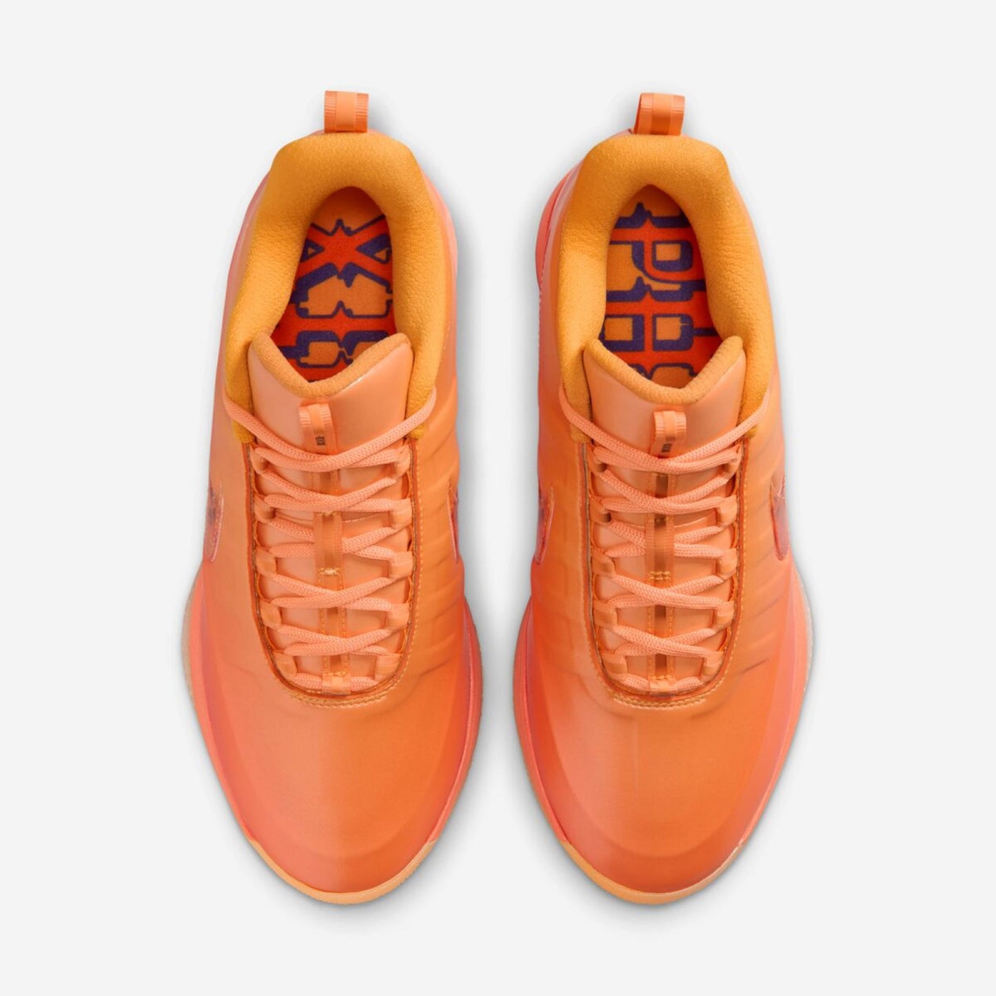Book 2 "The Phoenix"
