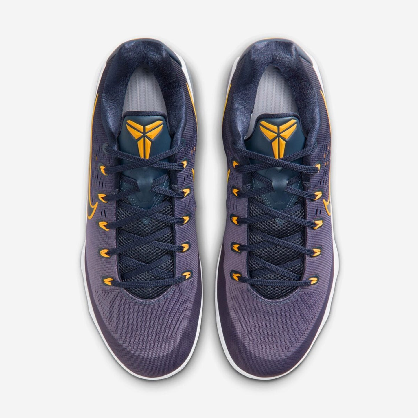 Kobe 9 Protro Elite Low "Purple Dynasty"