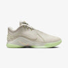 LeBron XXII "Dunkman"
