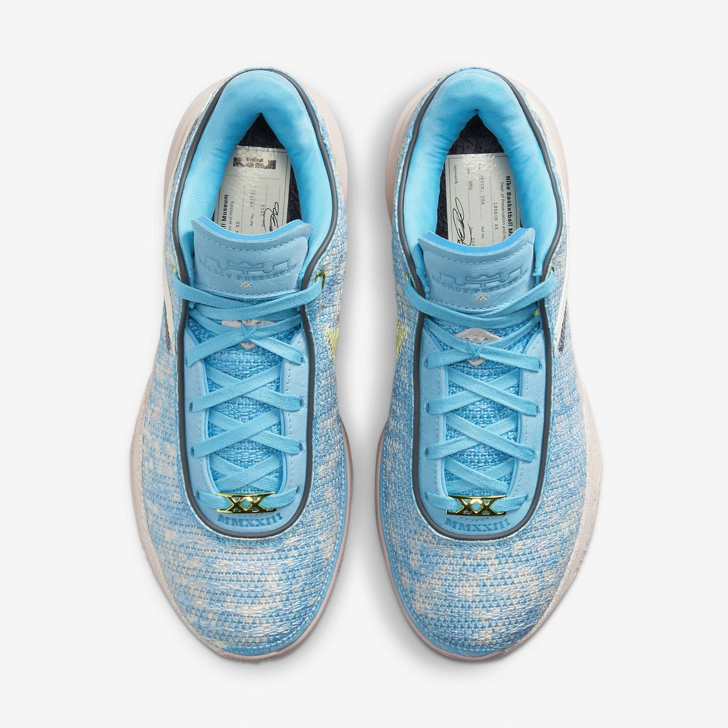 LeBron XX "ASW"