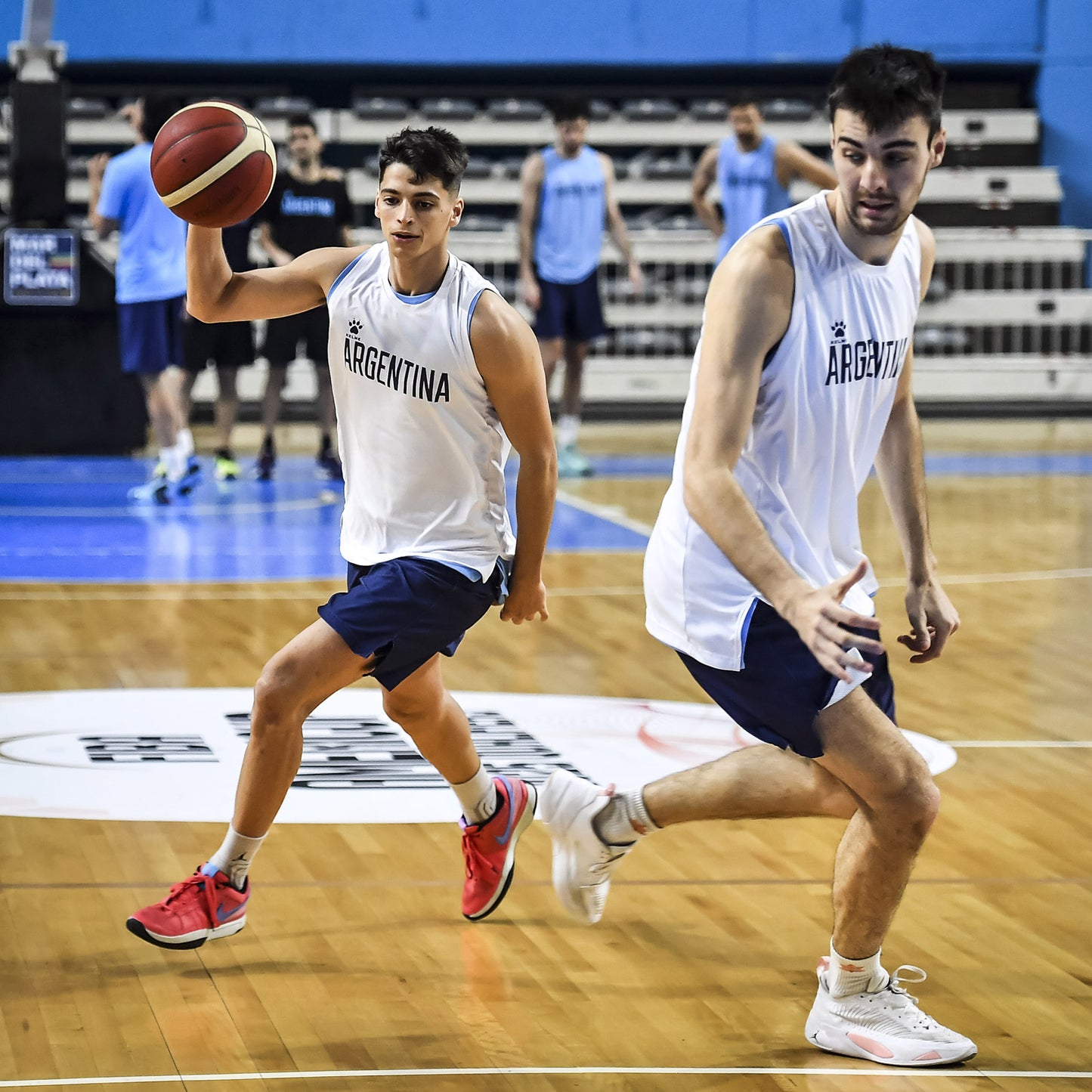 Musculosa Entrenamiento Selección Argentina