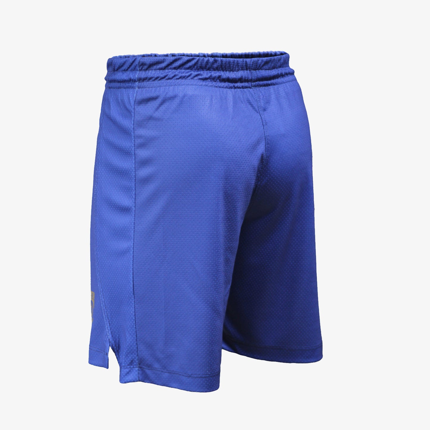 Short Oficial Selección Argentina Alternativo