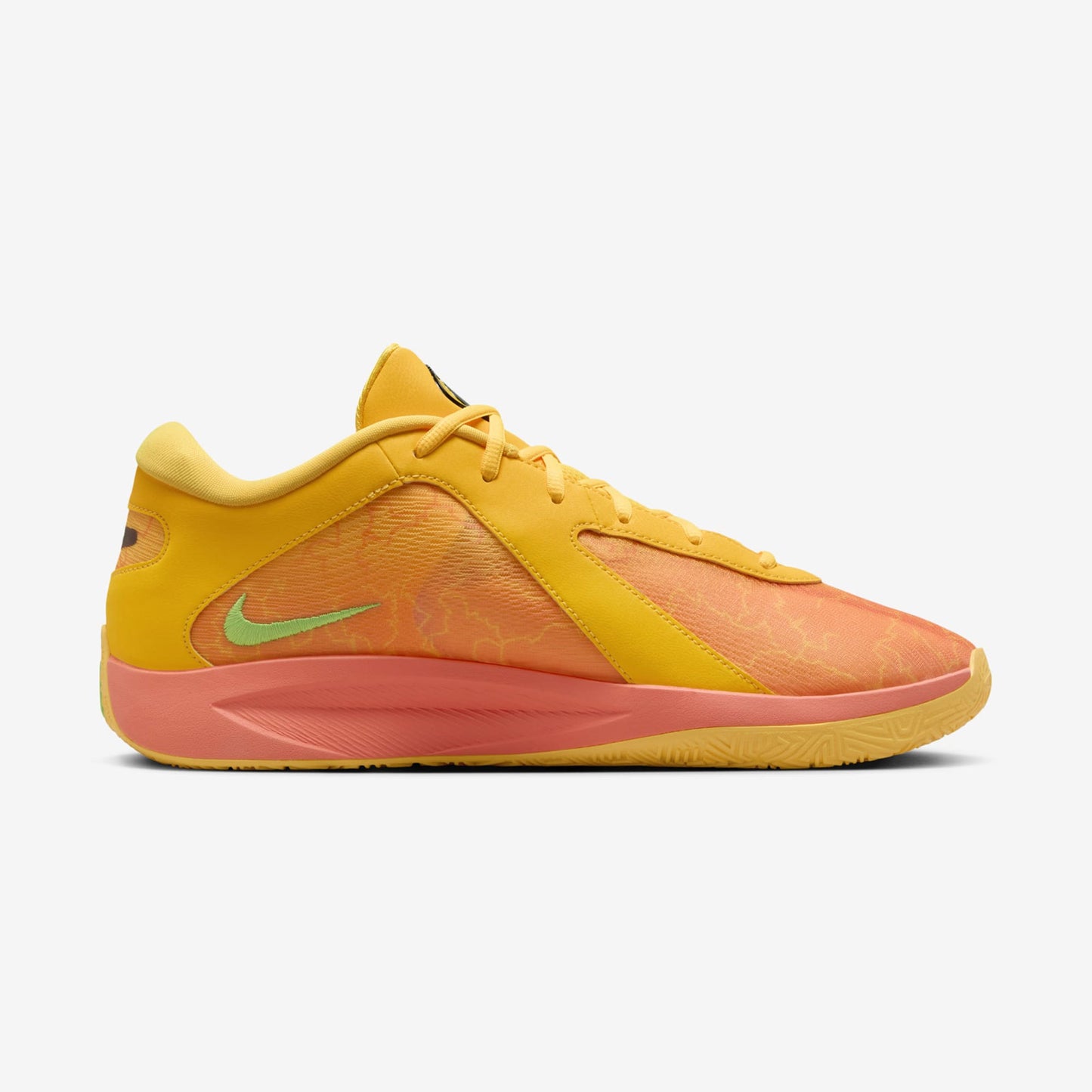 Zoom Freak 6 "Halloween"