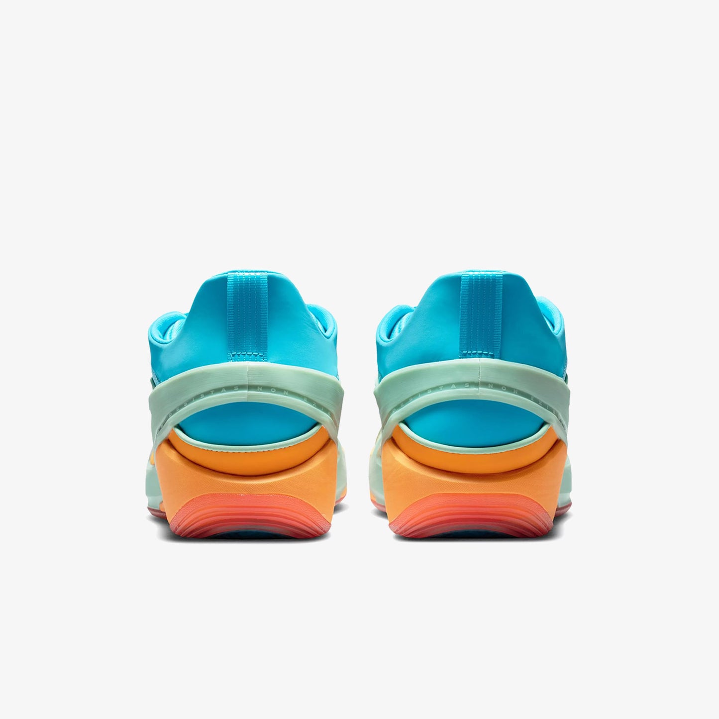 Luka 5 "Oceanside"