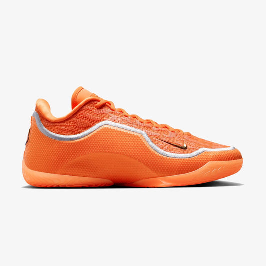 LeBron XXIII "Shoe Bag"