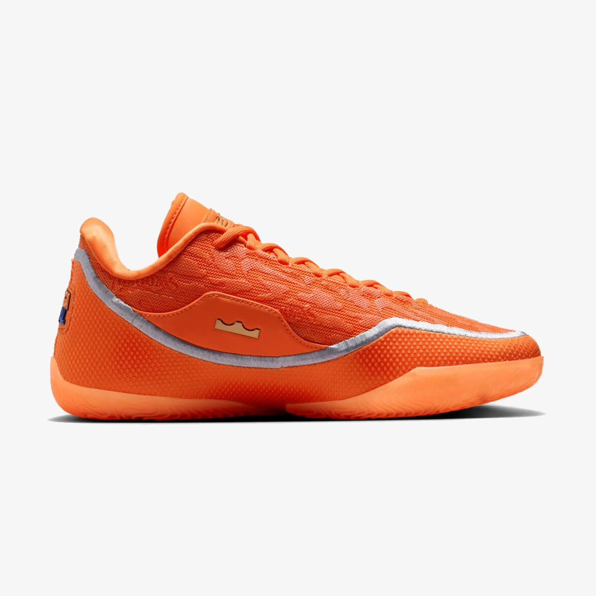 LeBron XXIII "Shoe Bag"